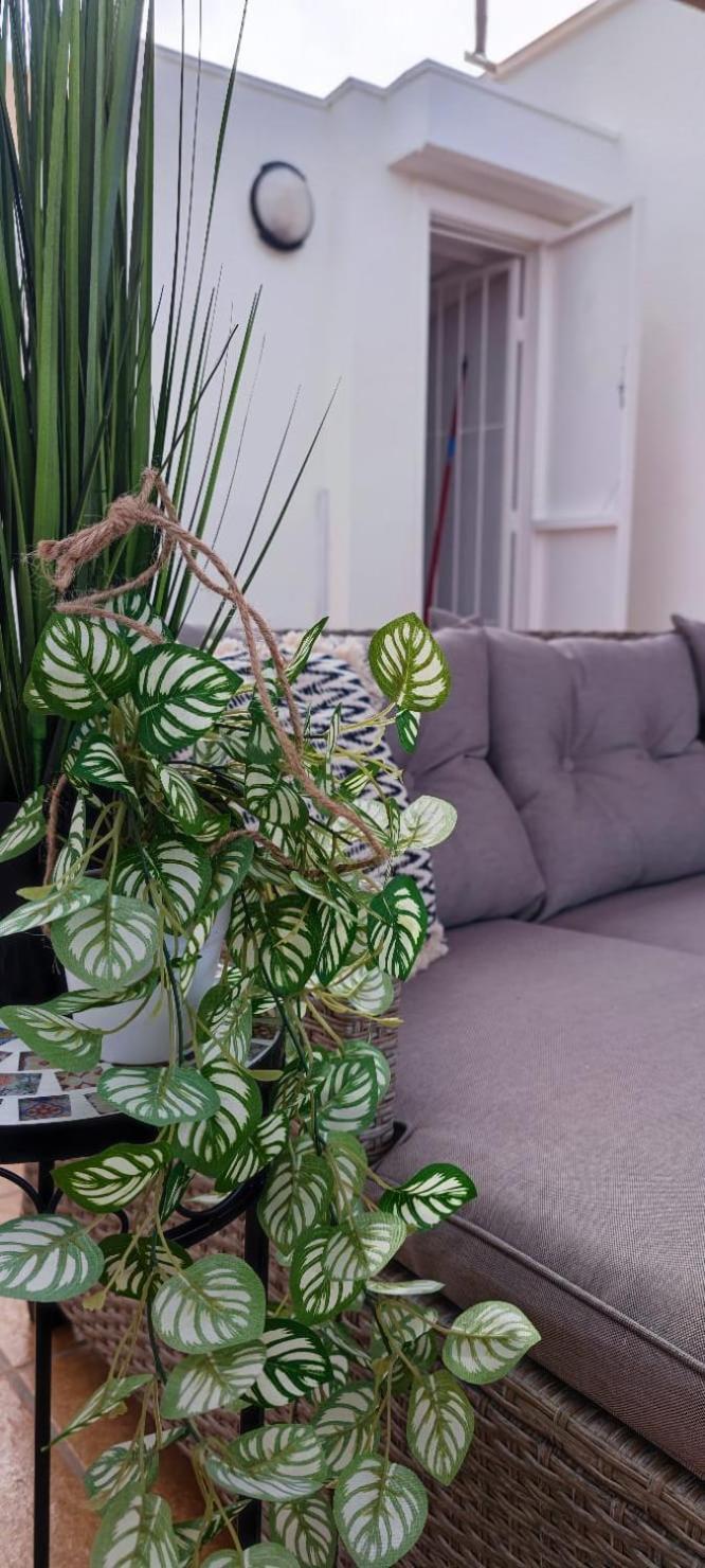 Apartamento Casa De Alba Cabo Cervera La Mata Torrevieja Bagian luar foto
