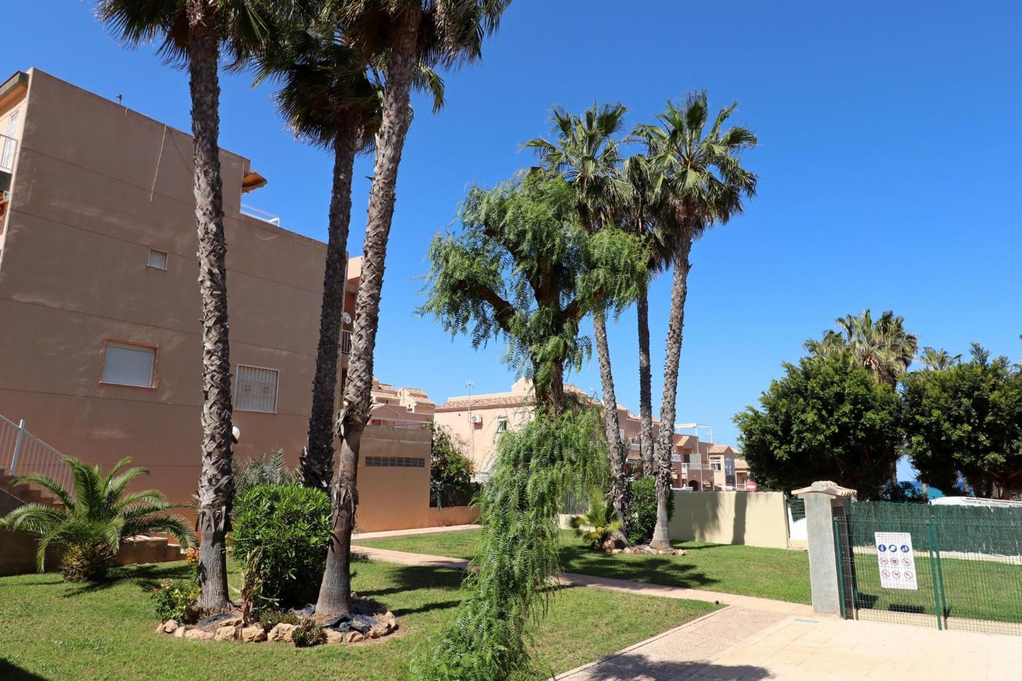 Apartamento Casa De Alba Cabo Cervera La Mata Torrevieja Bagian luar foto